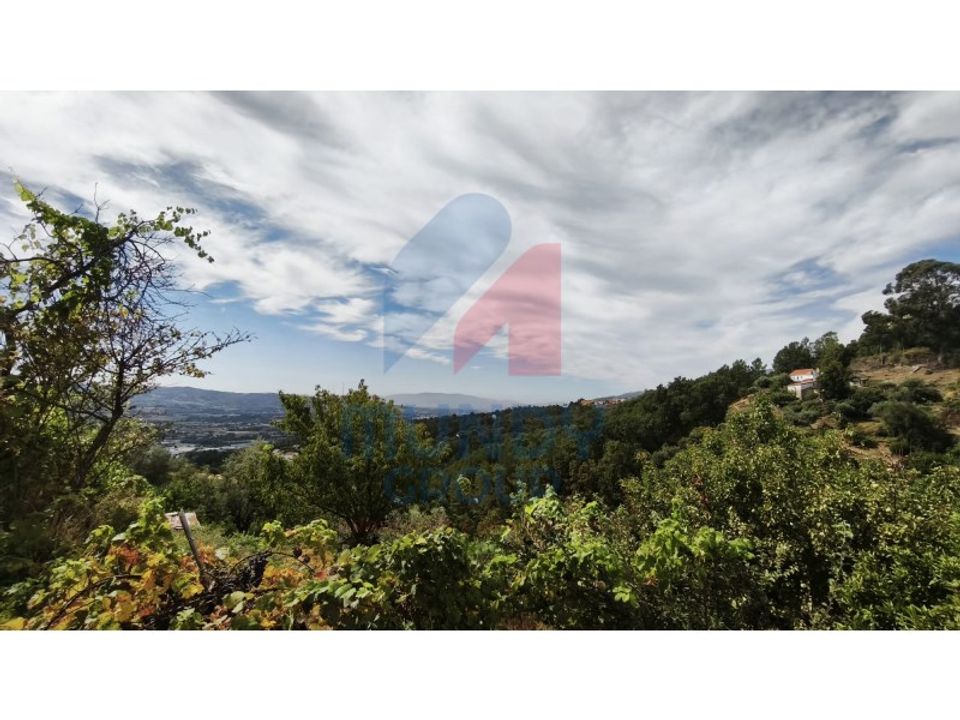 Farm i Vila Carvalho, Castelo Branco - foto 4
