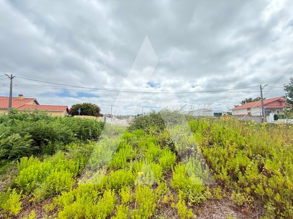 Helårsgrund i Marinha Grande, Leiria - foto 3