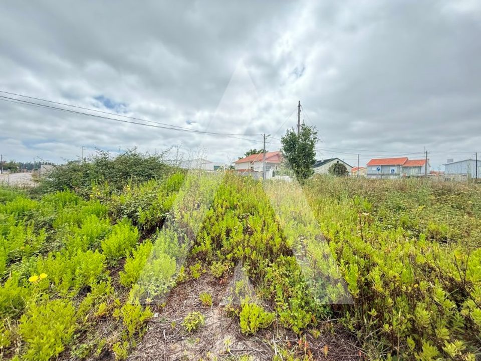 Helårsgrund i Marinha Grande, Leiria - foto 4