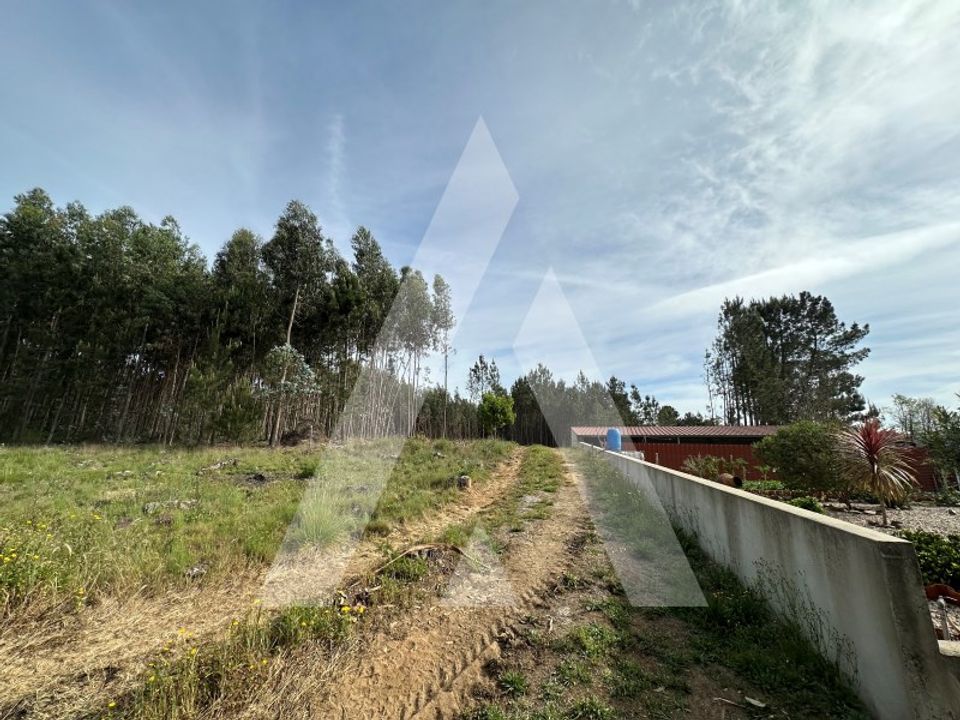 Terreno en Alvaiazere, Leiria - foto 2