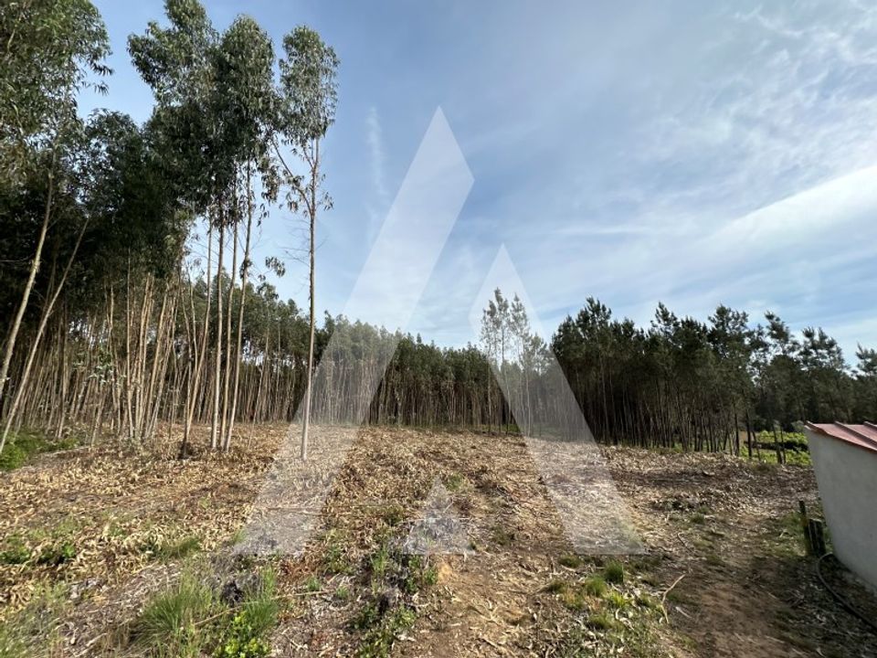 Terreno en Alvaiazere, Leiria - foto 3