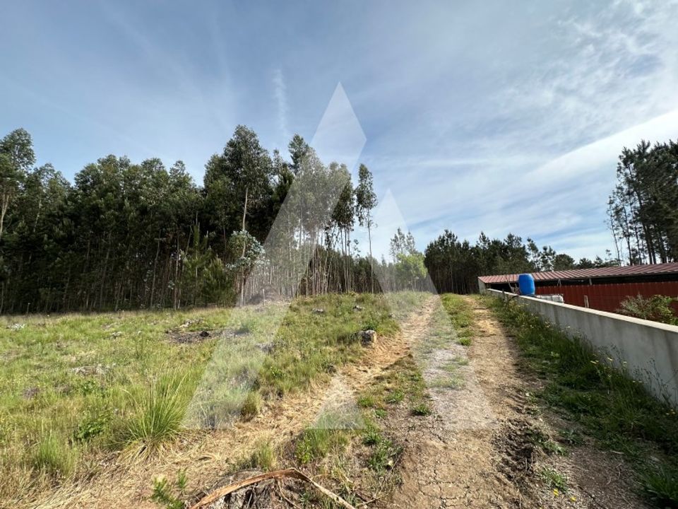 Terreno en Alvaiazere, Leiria - foto 4