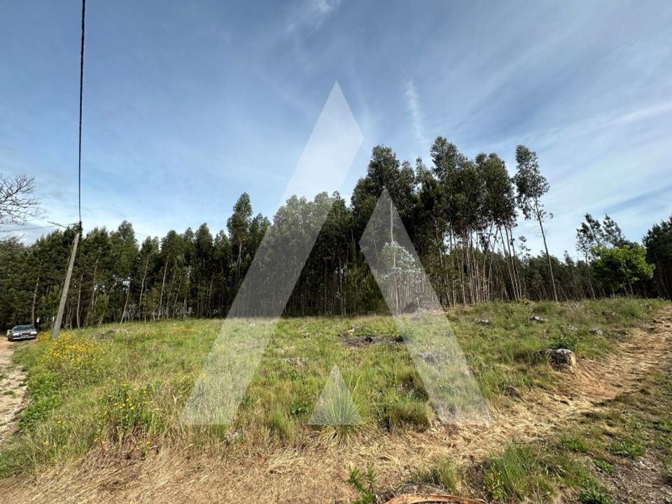 Terreno en Alvaiazere, Leiria - foto 5