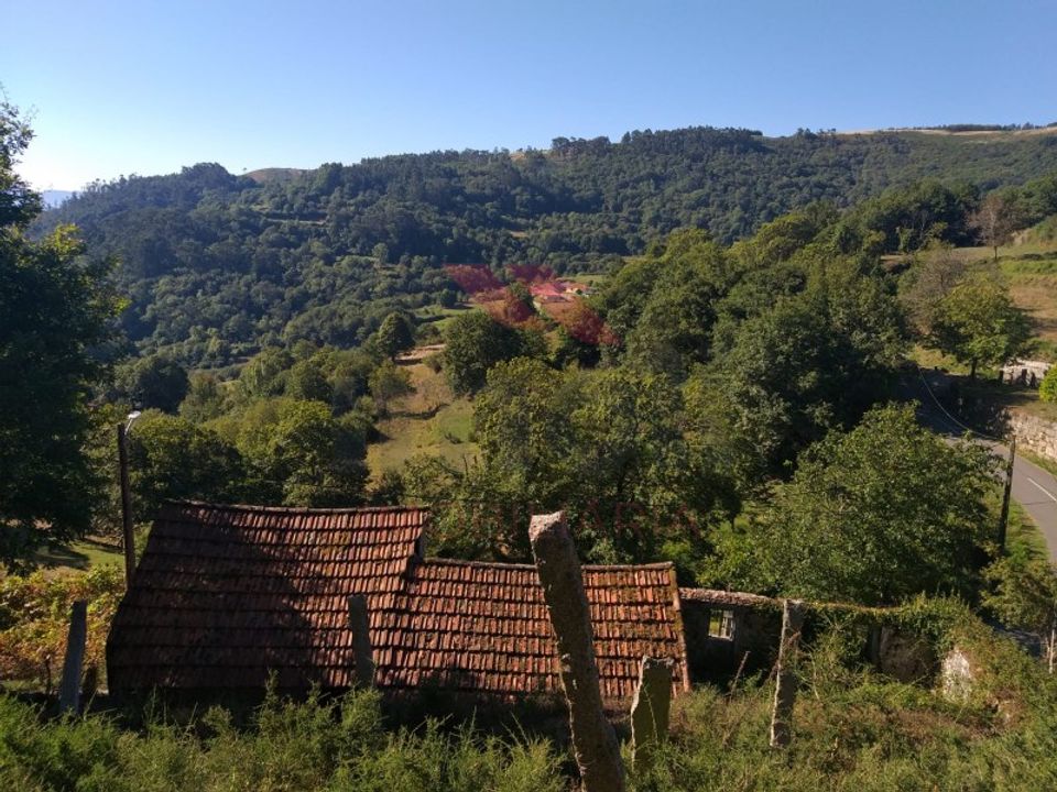 Willa: Padroso, Viana do Castelo – zdjęcie 5