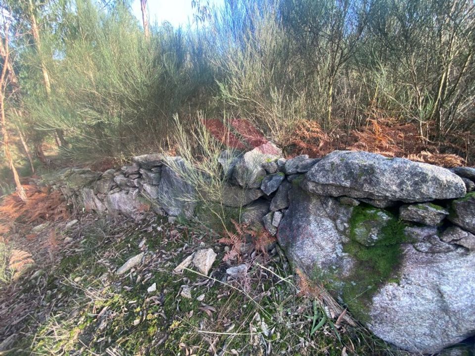 Erhvervsejendom i Arcos de Valdevez, Viana do Castelo - foto 3