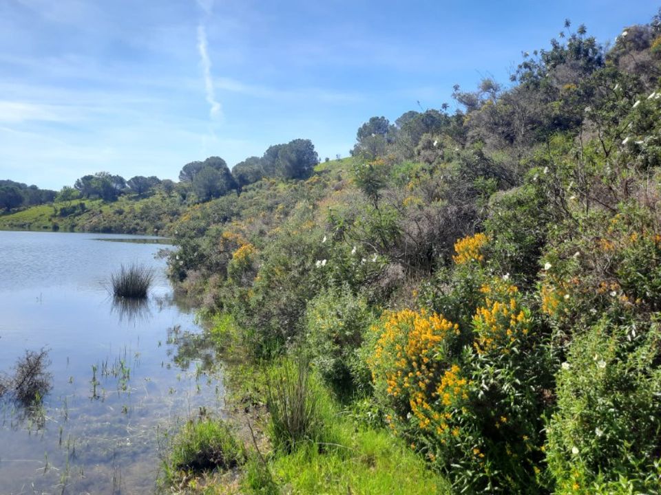 Helårsgrund i Castro Marim, Faro - foto 1
