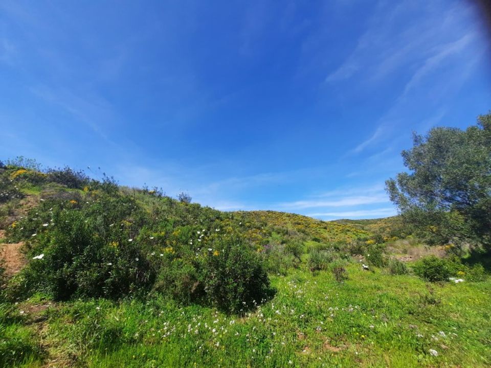 Helårsgrund i Castro Marim, Faro - foto 4