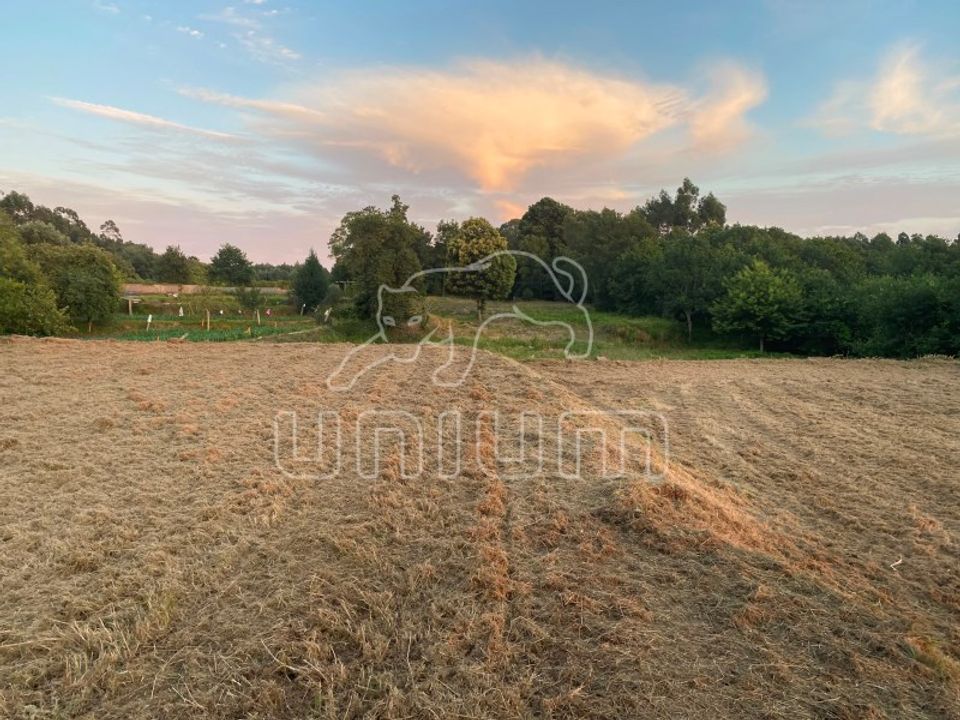 Terreno en Montaria, Viana do Castelo - foto 2