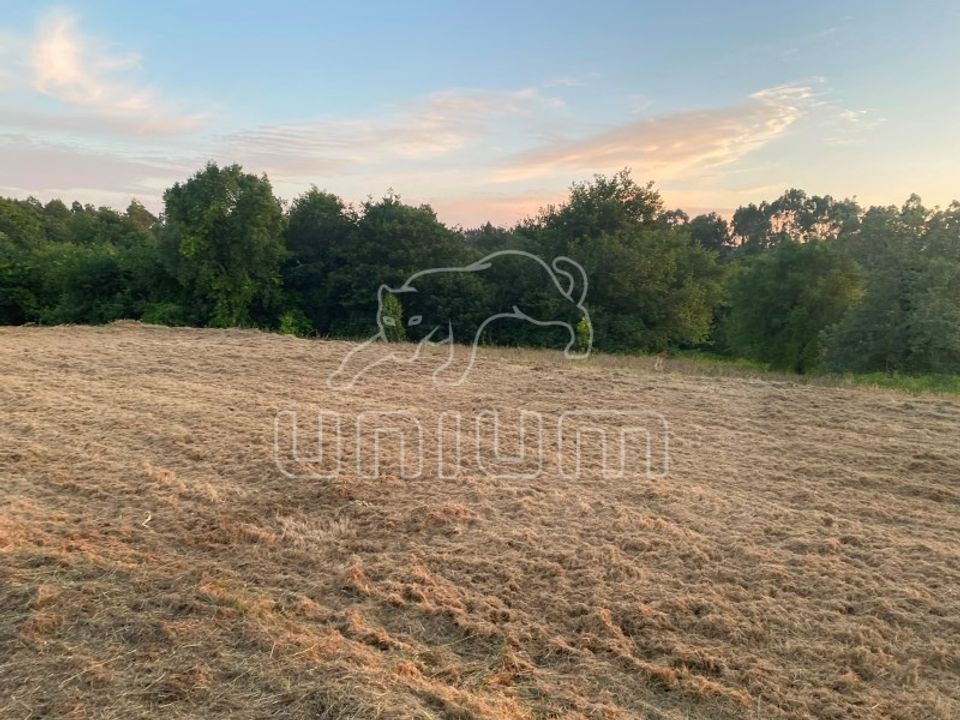 Terreno en Montaria, Viana do Castelo - foto 3