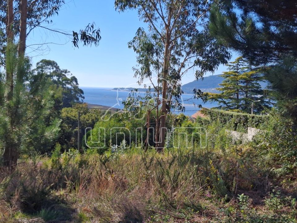 Helårsgrund i Caminha, Viana do Castelo - foto 3