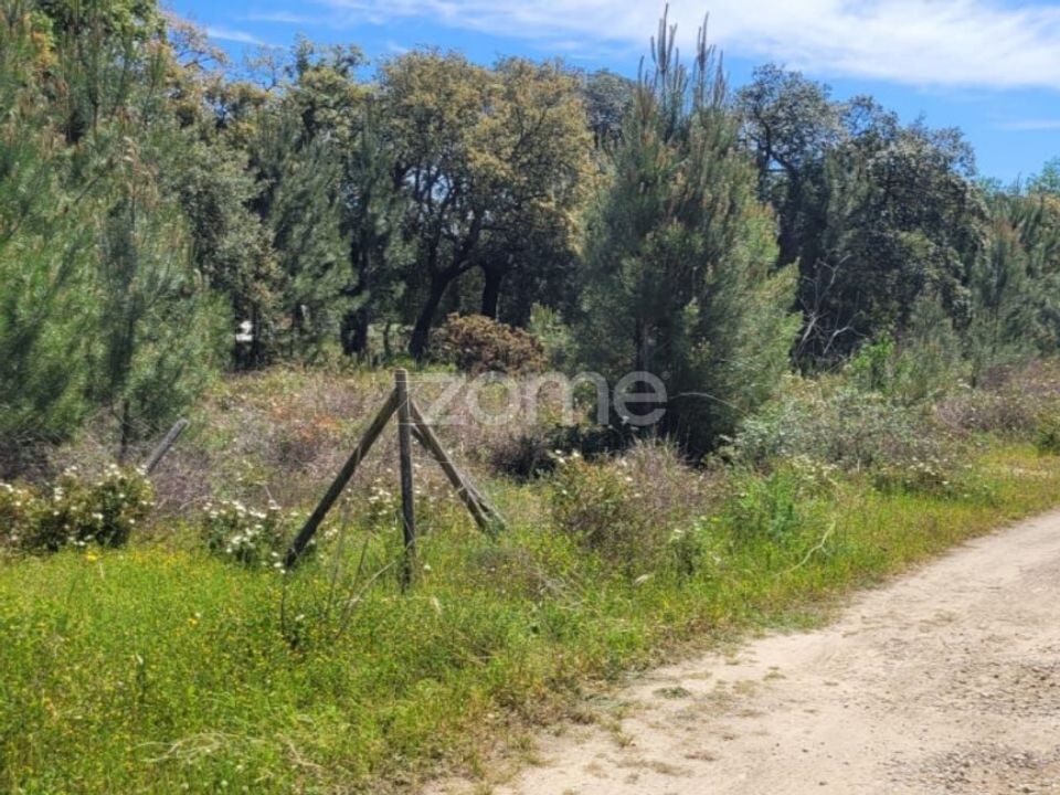 Helårsgrund i Palmela, Setubal - foto 1