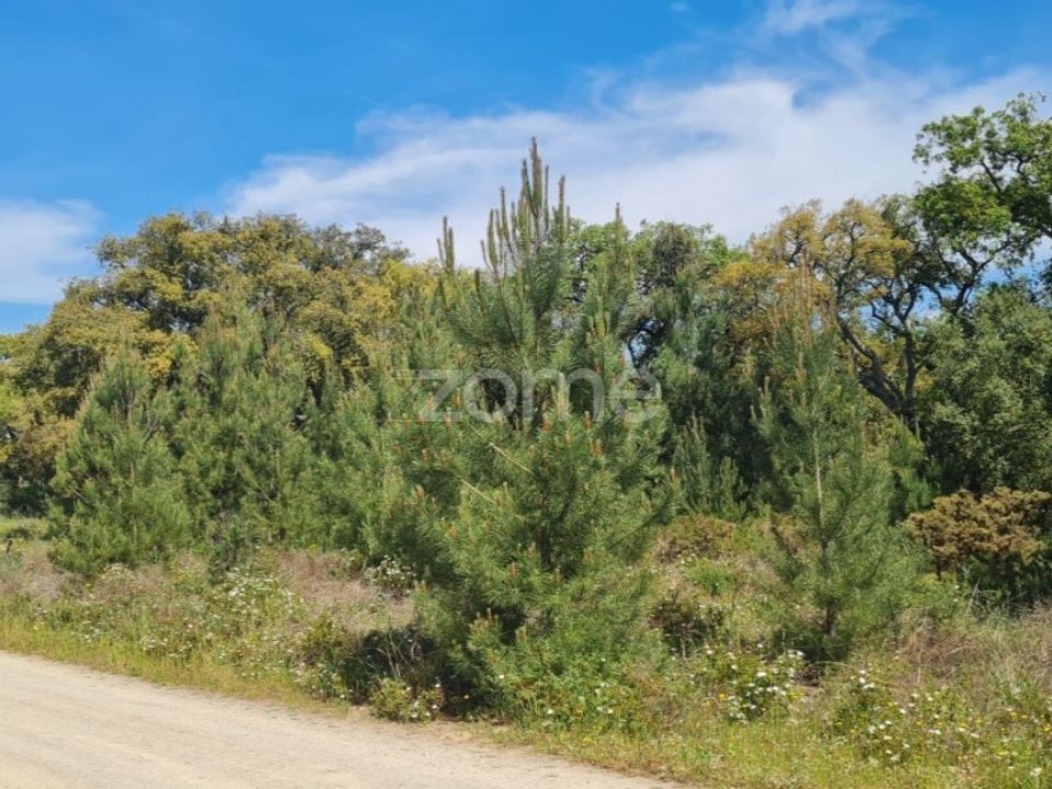 Helårsgrund i Palmela, Setubal - foto 3