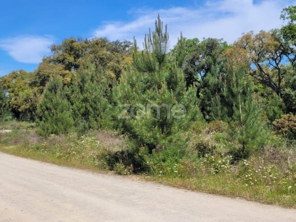 Helårsgrund i Palmela, Setubal - foto 4