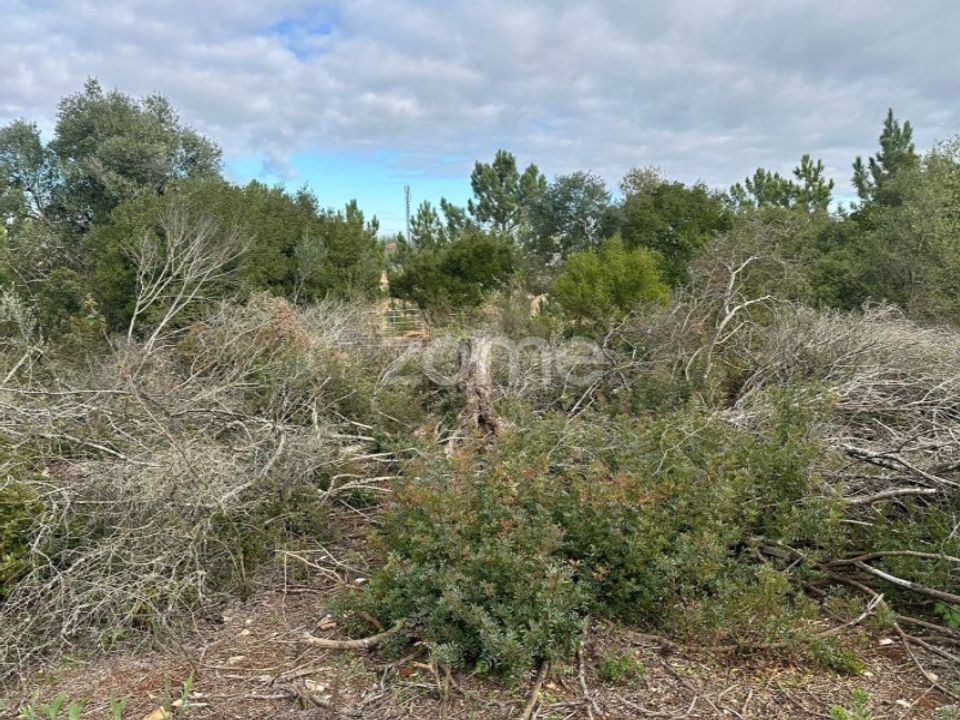 Granja a Santarem, Santarem - foto 1