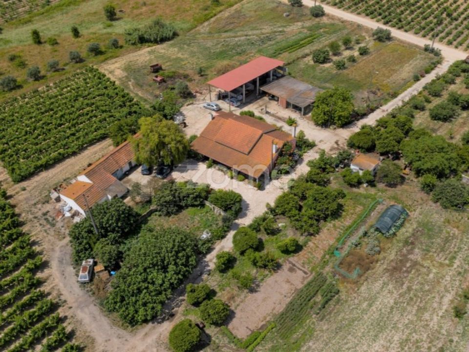 Landejendom i Palmela, Setubal - foto 4