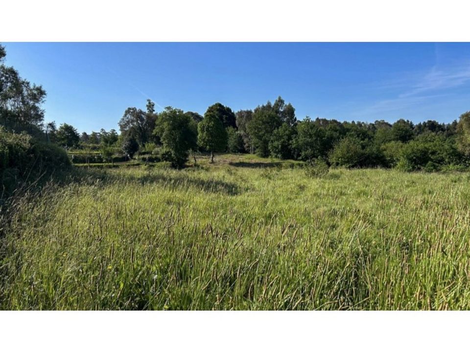 Terreno en Montaria, Viana do Castelo - foto 2