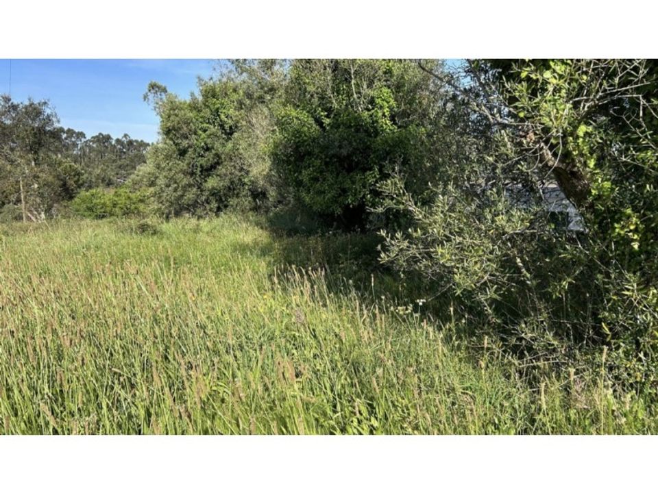 Terreno en Montaria, Viana do Castelo - foto 3