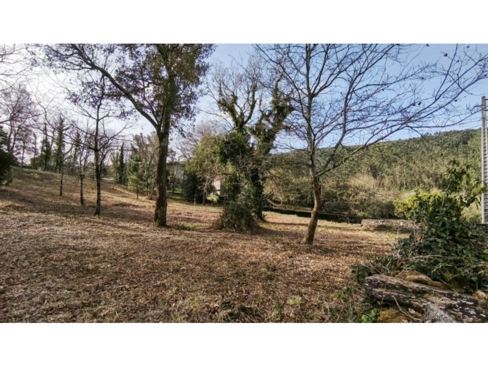 Tomt i Amonde, Viana do Castelo - foto 1