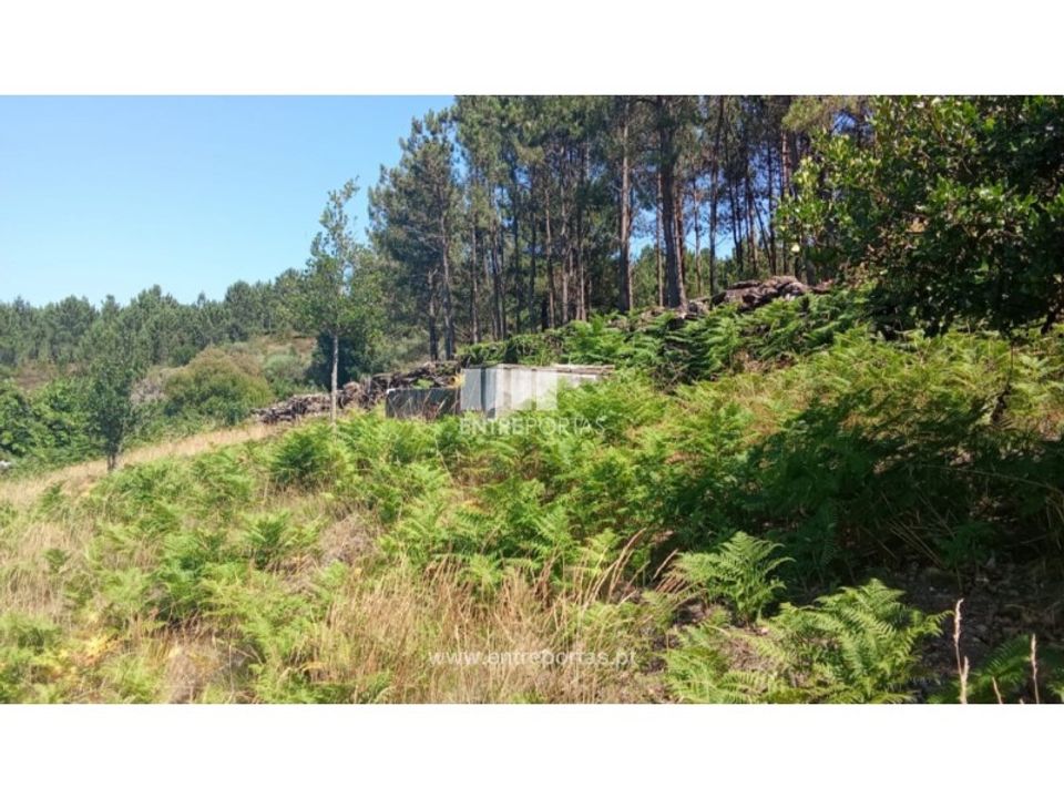 Terreno en Arga (Baixo, Cima e Sao Joao), Viana do Castelo - foto 2