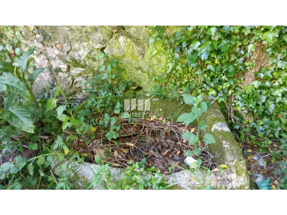 Landejendom i Caminha, Viana do Castelo - foto 2
