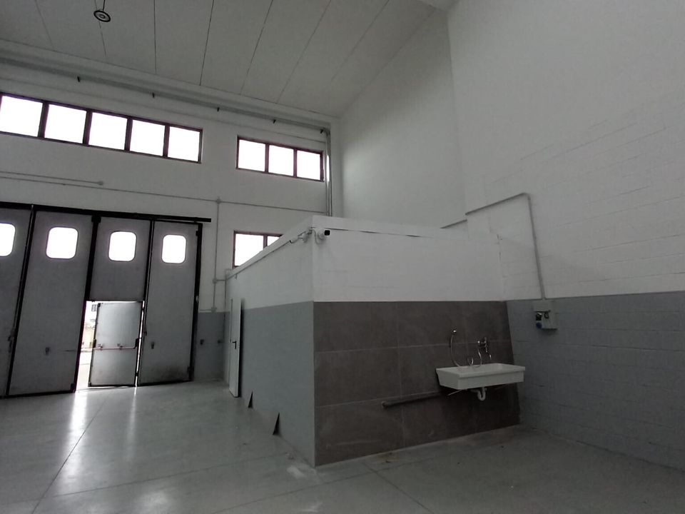 L'establiment comercial a Rimini, Rimini - foto 2