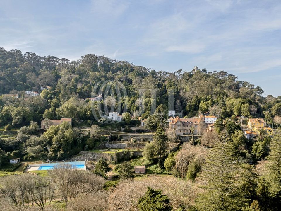 Farm i Sintra, Lisbon - foto 5