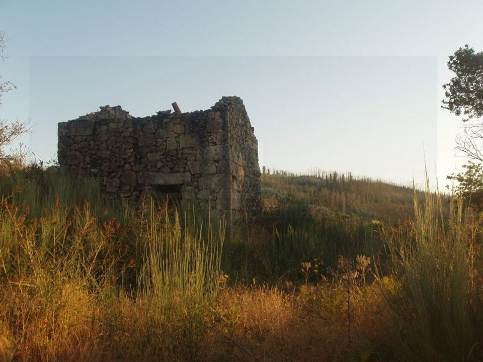 Farm i Oliveira do Hospital, Coimbra - foto 4