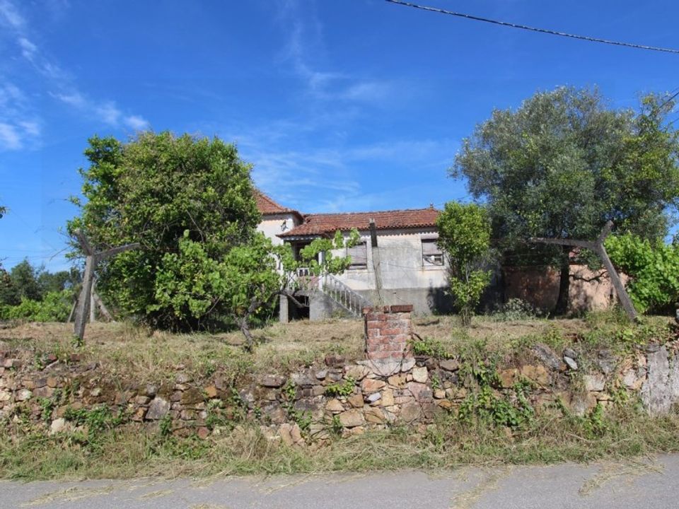 Gård i Tabua, Coimbra - bilde 2