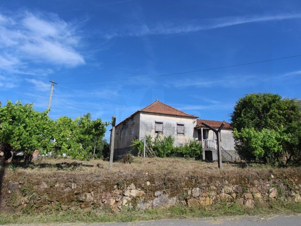 Gård i Tabua, Coimbra - bilde 3