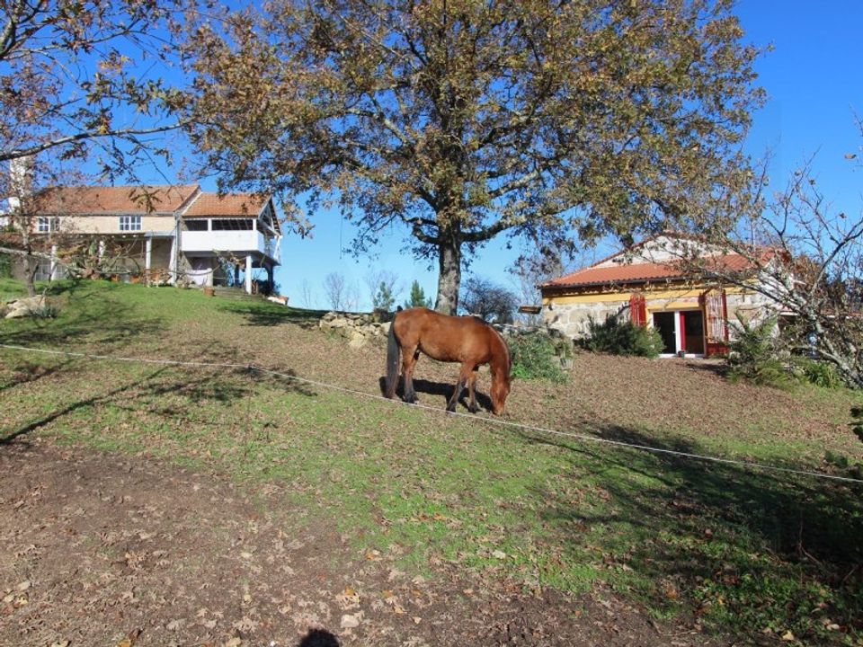 Farm i Travancinha, Guarda - foto 2
