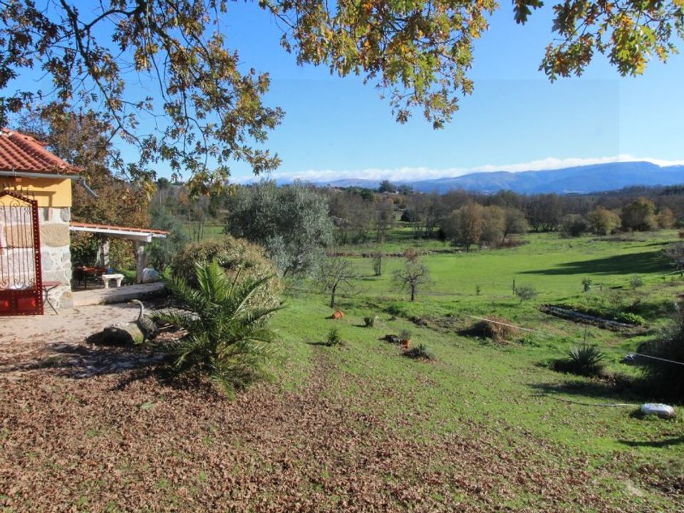 Farm i Travancinha, Guarda - foto 4