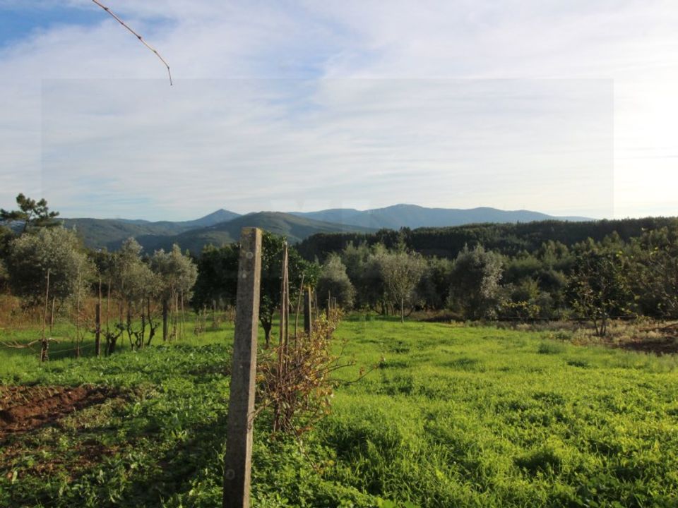 Masia a Coimbra, Coimbra - foto 4