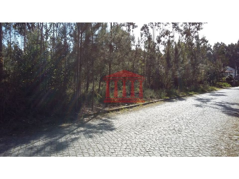 Tomt i Remelhe, Braga - bilde 5