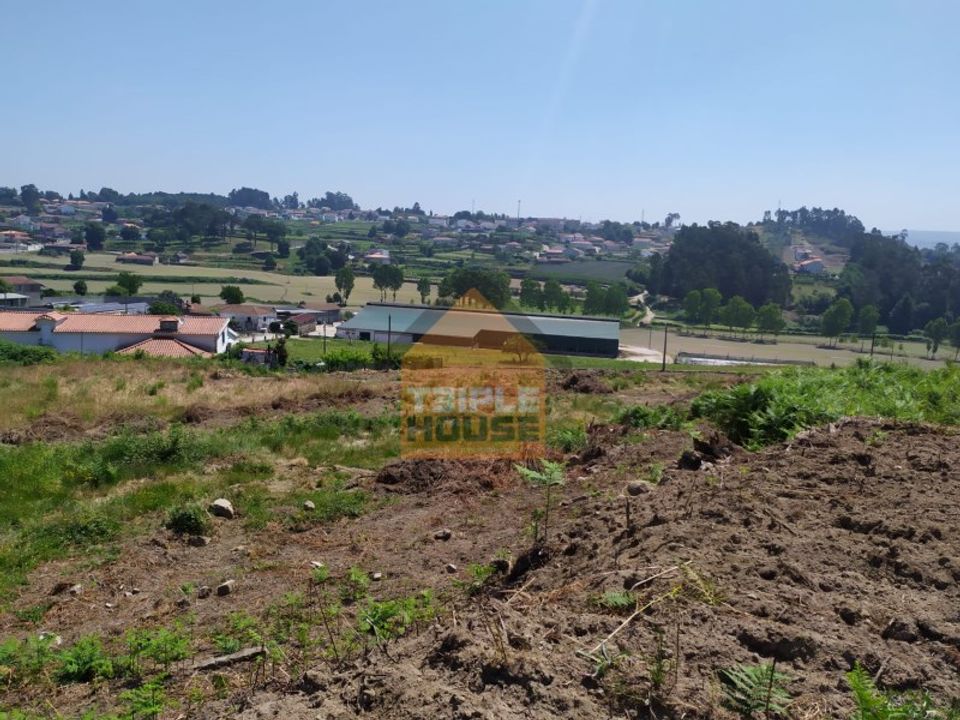 Farm i Paredes, Porto - foto 4