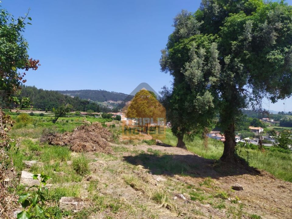 Farm i Paredes, Porto - foto 5