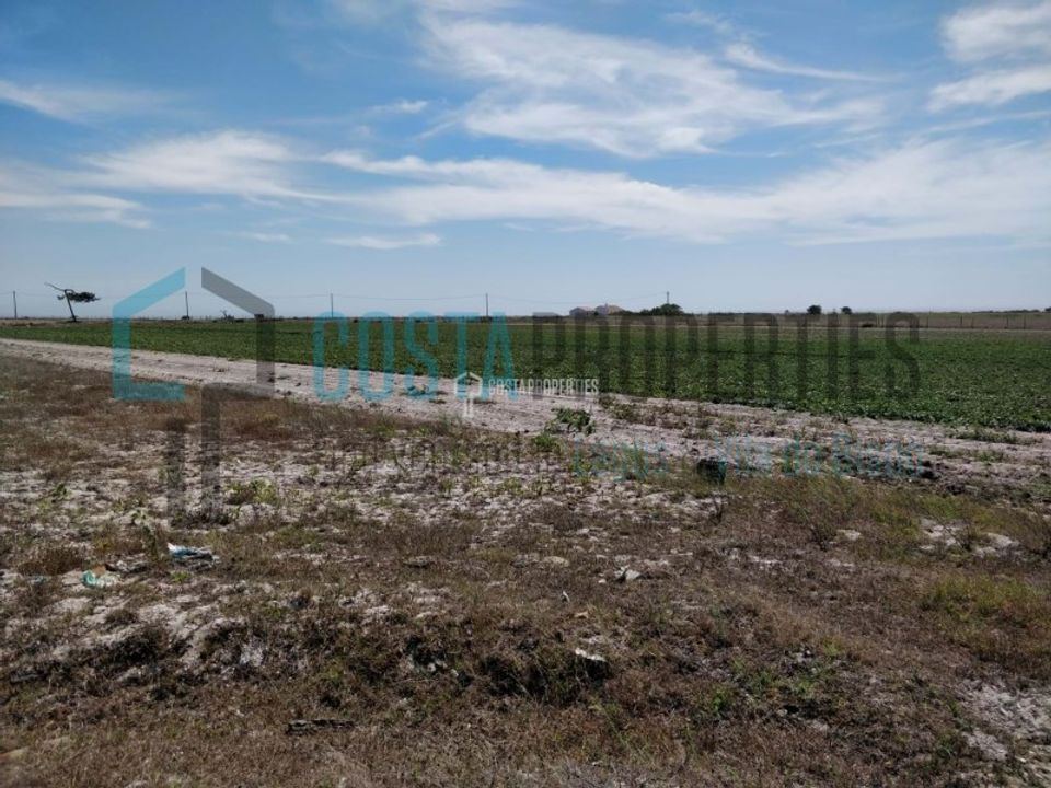 Helårsgrund i Sao Teotonio, Beja - foto 4