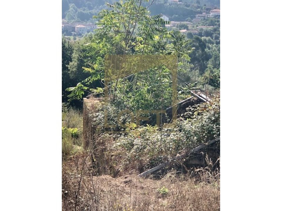 Farm i Cabeceiras de Basto, Braga - foto 4