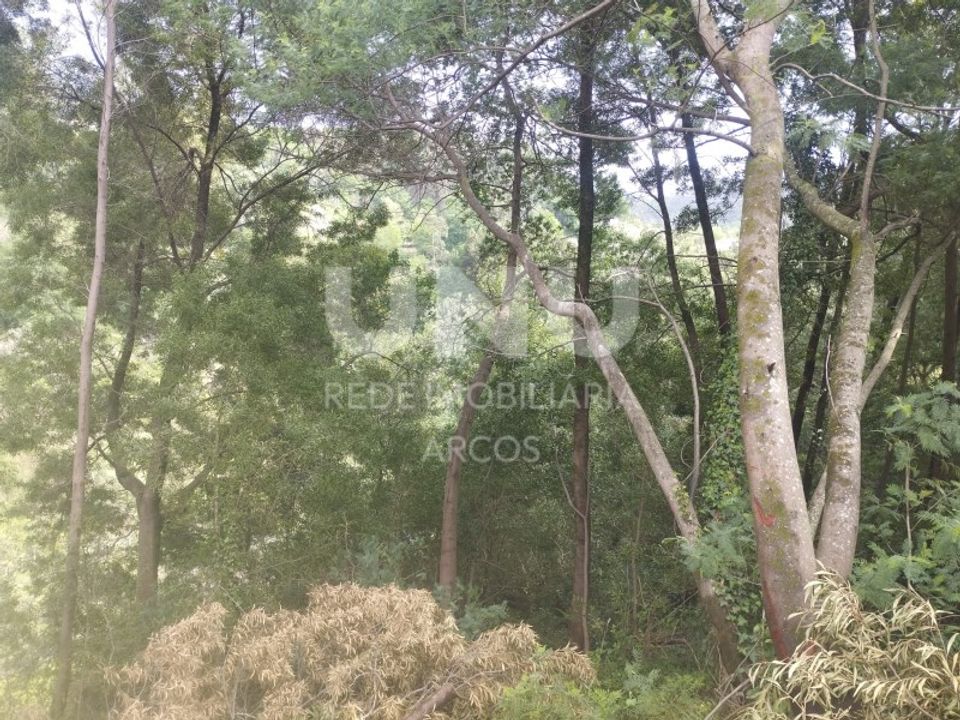 Erhvervsejendom i Arcos de Valdevez, Viana do Castelo - foto 2
