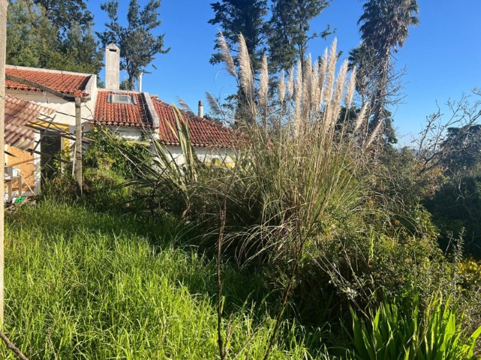 Villa i Sintra, Lisbon - foto 1