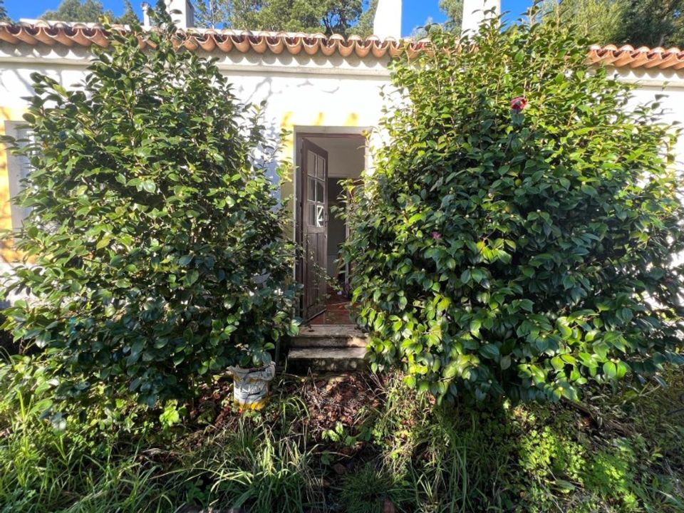 Villa i Sintra, Lisbon - foto 2