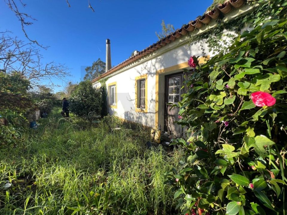 Villa i Sintra, Lisbon - foto 5