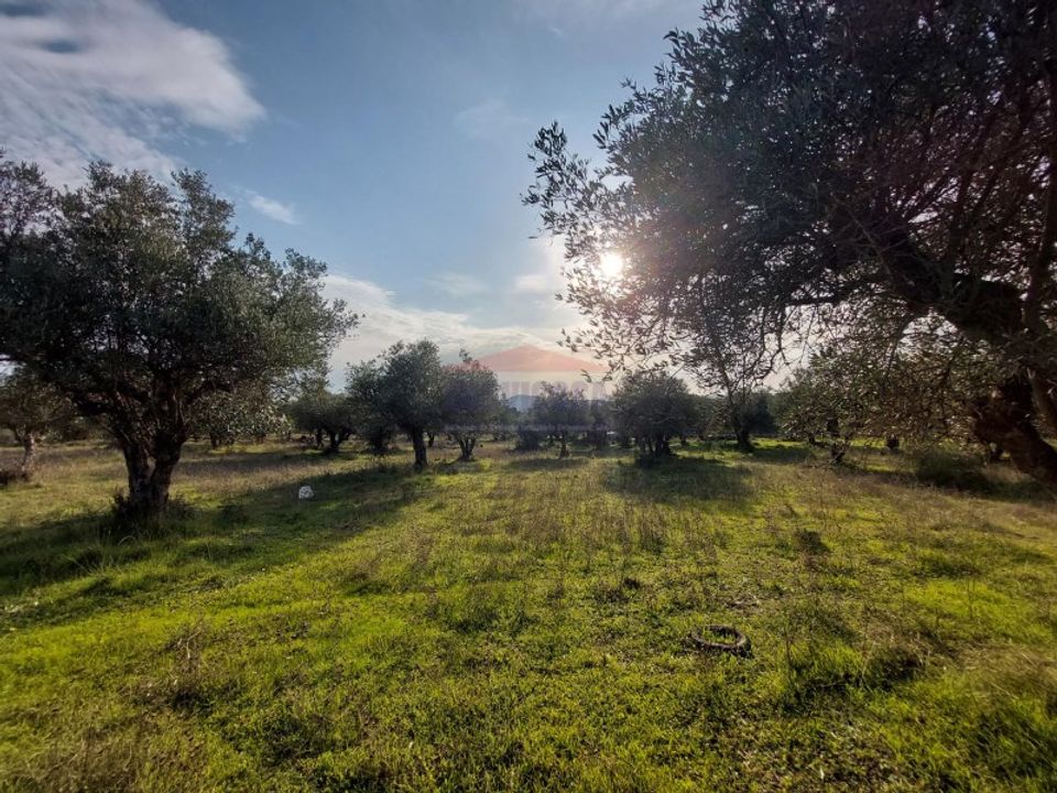Helårsgrund i Elvas, Portalegre - foto 3