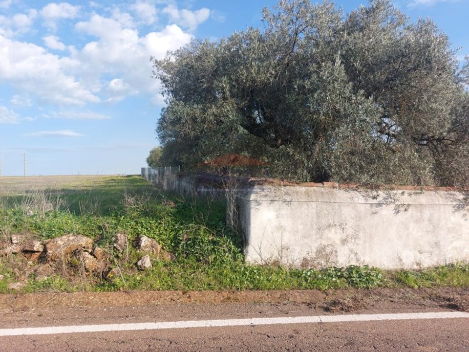 Helårsgrund i Elvas, Portalegre - foto 5