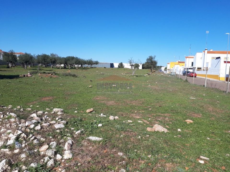 Terra a Vila Vicosa, Evora - foto 2