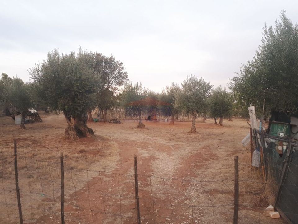 Terra a Vila Vicosa, Evora - foto 2