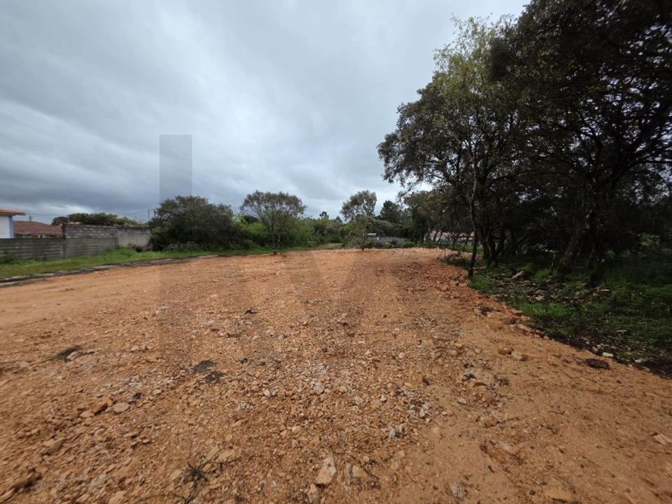Terra em Fatima, Santarem - foto 3