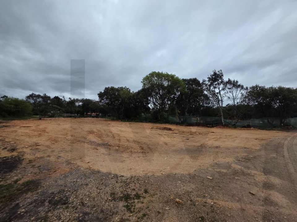 Terra em Fatima, Santarem - foto 4