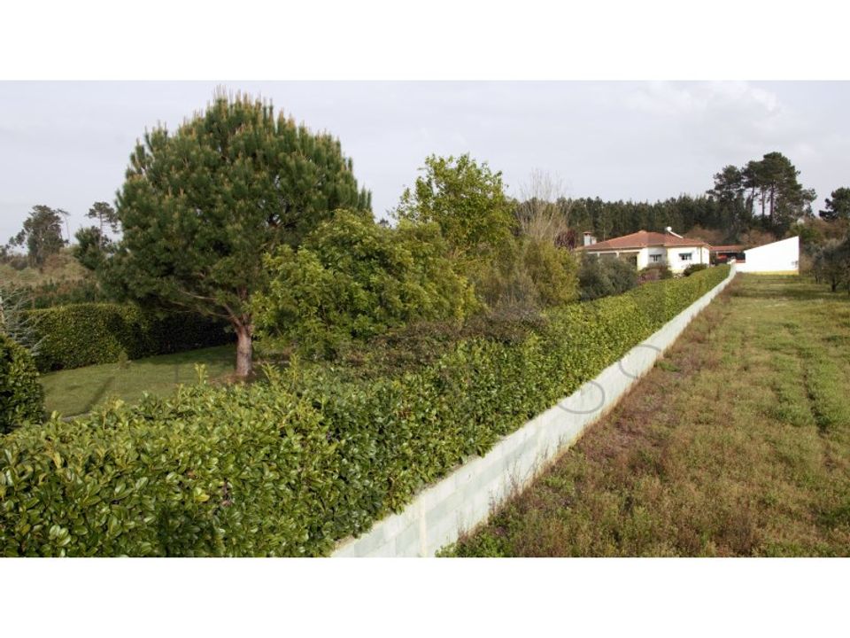 Farm i Porto de Mos, Leiria - foto 2