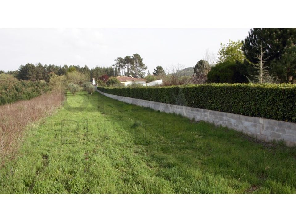 Farm i Porto de Mos, Leiria - foto 3