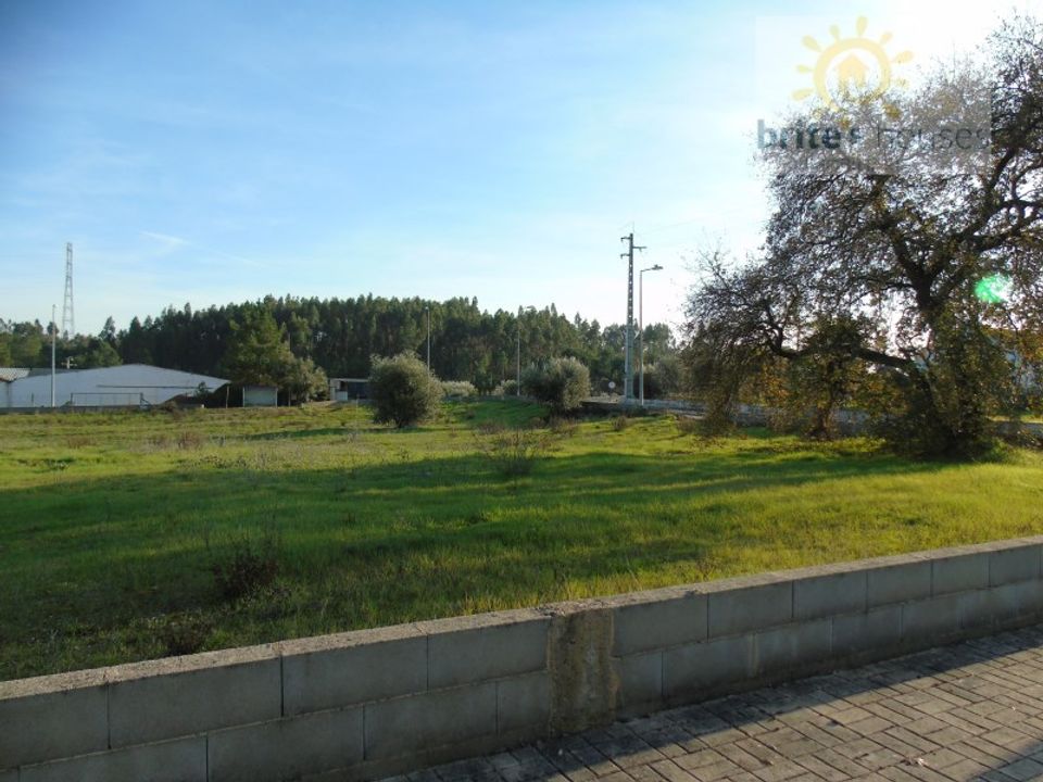 Helårsgrund i Asseiceira, Santarem - foto 3